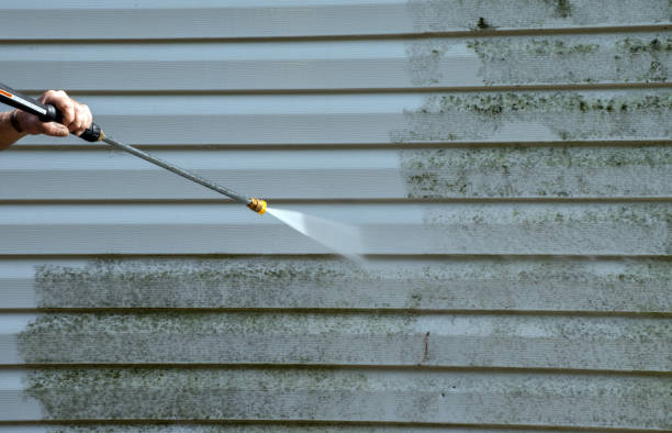 Boat and Dock Cleaning in Metzger, OR